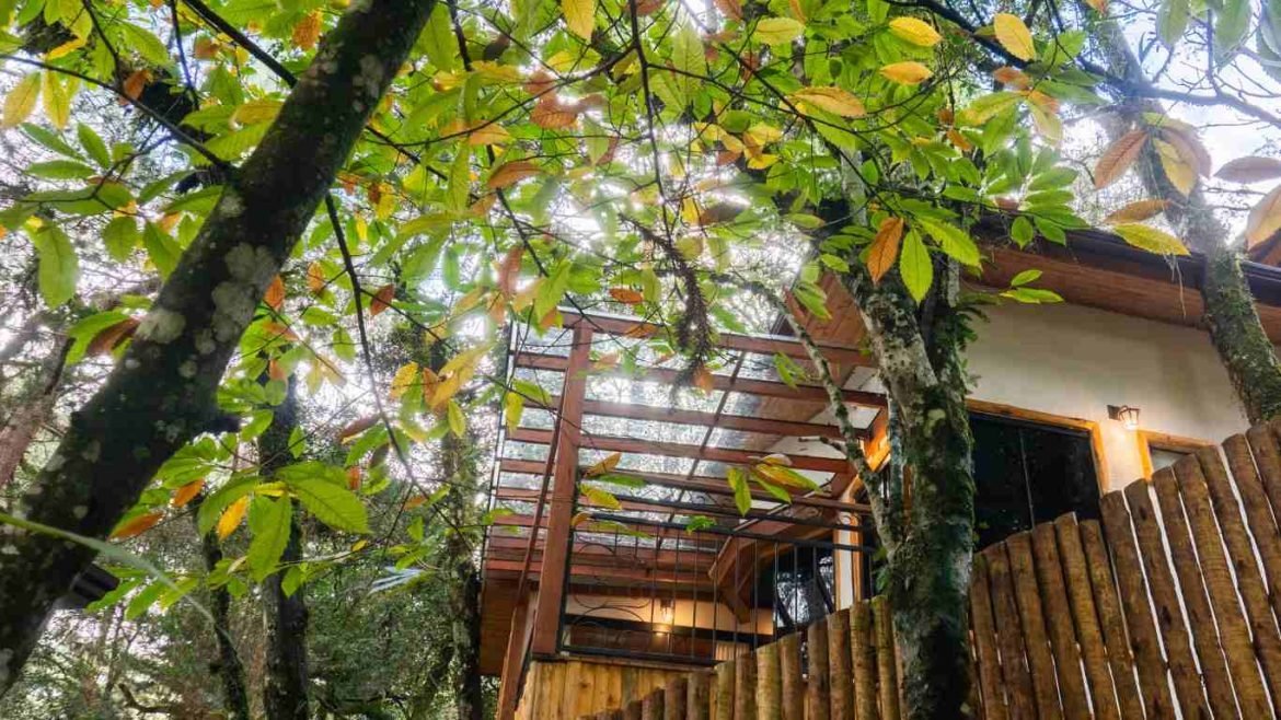 Construção sustentável com LSF: como reduzir resíduos e tempo de obra sem perder resistência